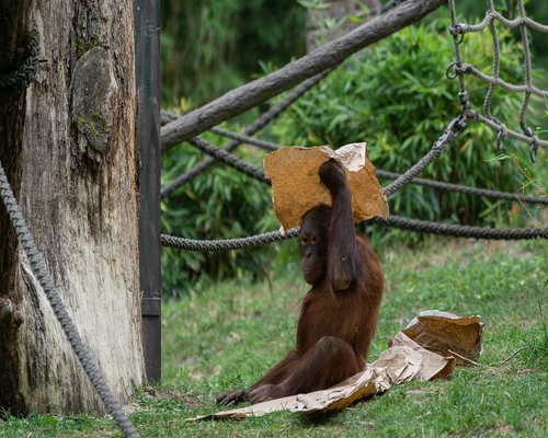 Orang membaca buku dengan tenang